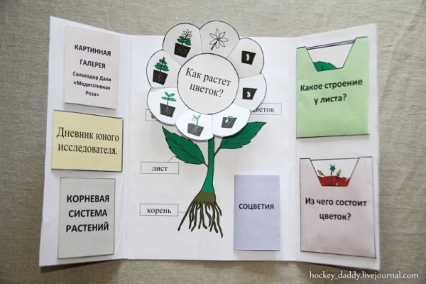 Лэпбук на тему растения