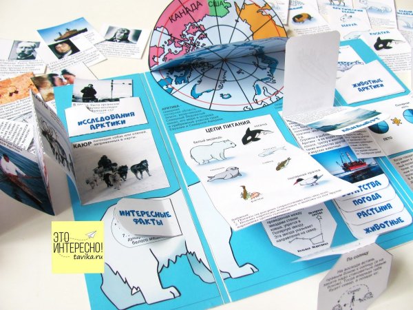 Лэпбук континенты