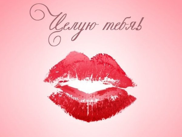 Картинка целую