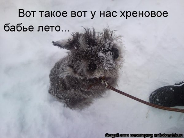 Хреновое лето картинки