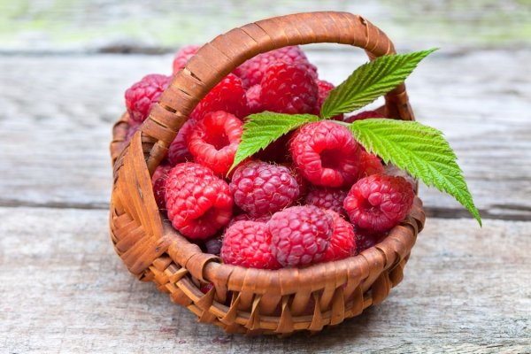 Малина ежевика Морошка