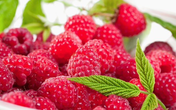 Мокрая малина