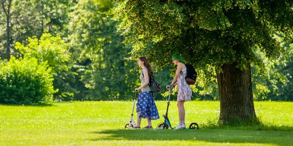 Прогулка в парке