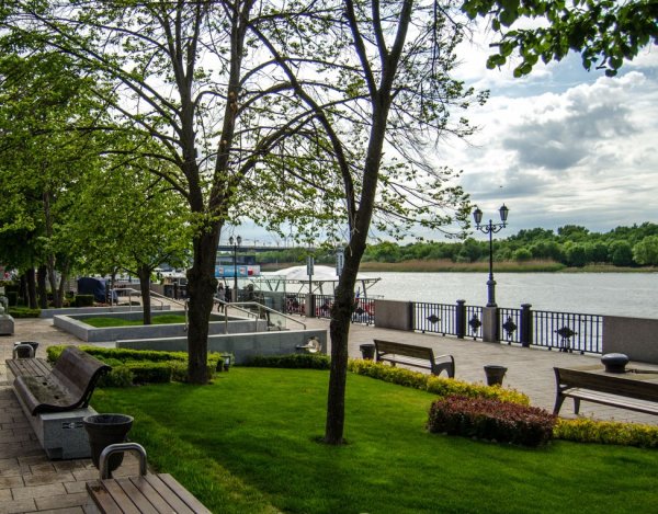 Ростов набережная Озеленение