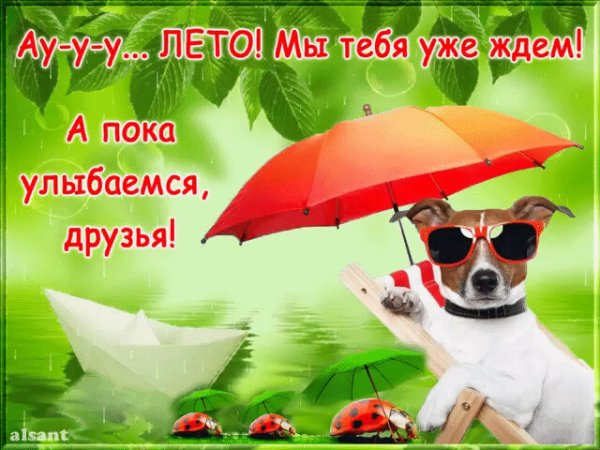 Открытки где лето заблудилось