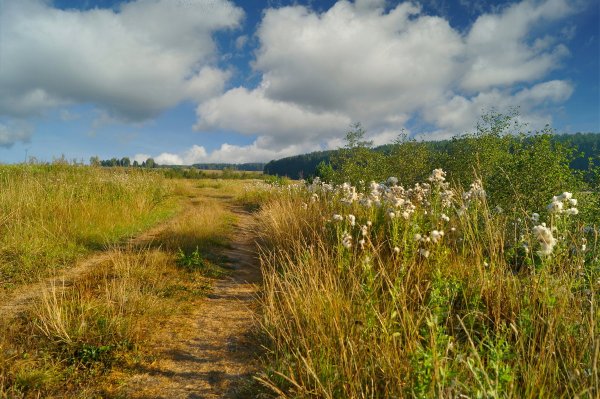 Знойный август
