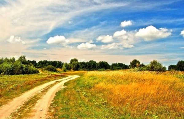 Ясный день летом