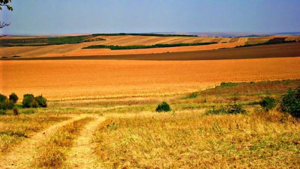 Лето было сухое