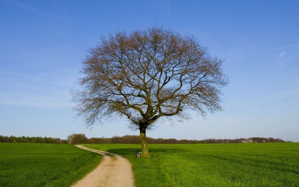 Солнечная погода