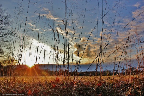 Лето тепло солнце