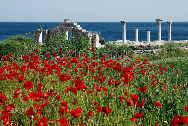 Севастополь лето