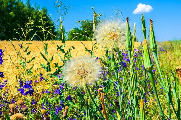 Закат в деревне