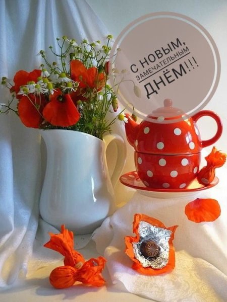 Фон для кружки природа