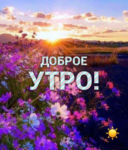 Доброе утро лето