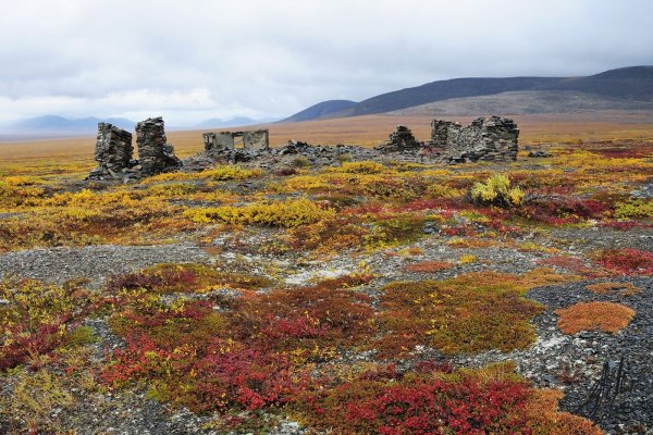 Чукотский автономный округ тундра