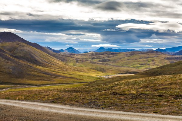 Сопки Чукотки