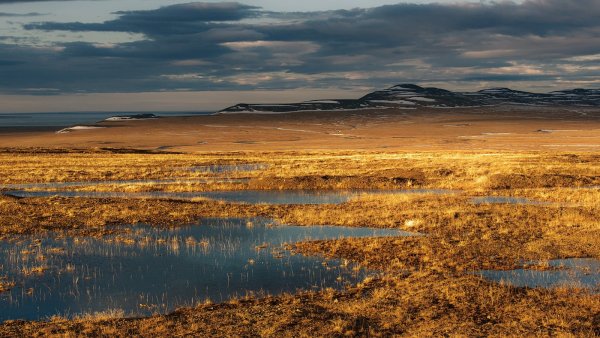 Анадырь природа тундра