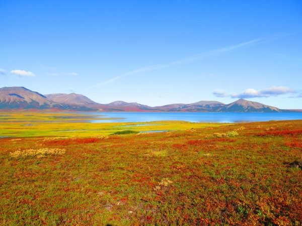 Анадырь тундра