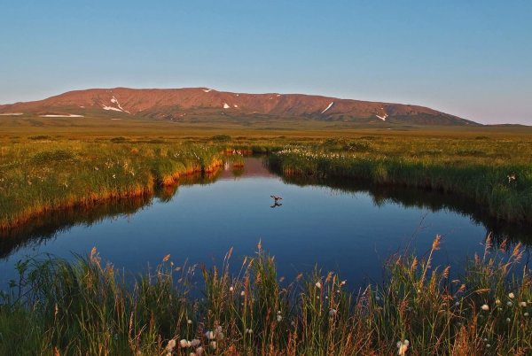 Чукотский автономный округ природа