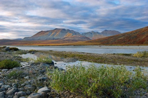 Полуостров Чукотка климат