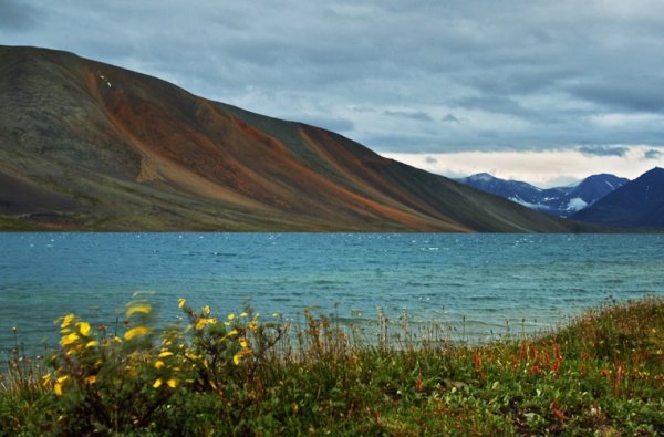 Поселок Провидения тундра