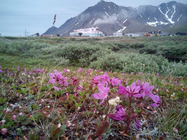 Чукотка территория