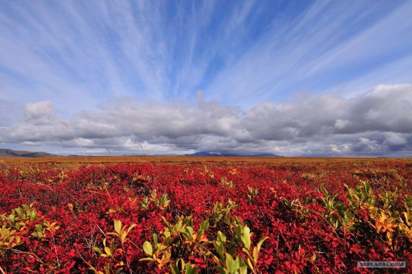 Гора нэскэн Чукотка