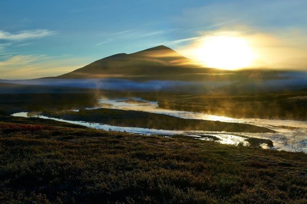 Тундра острова Врангеля