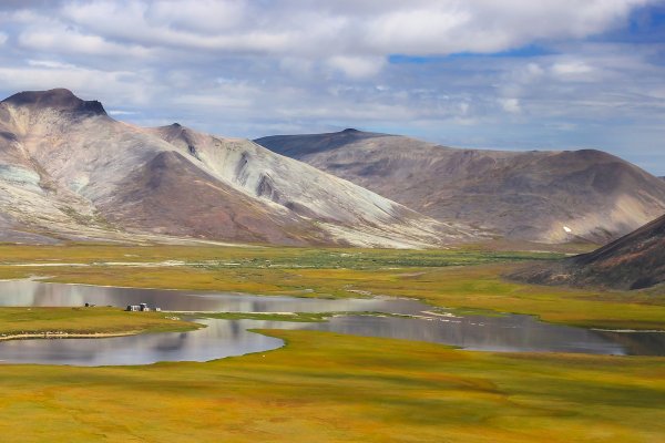 Чукотское тундровое Нагорье
