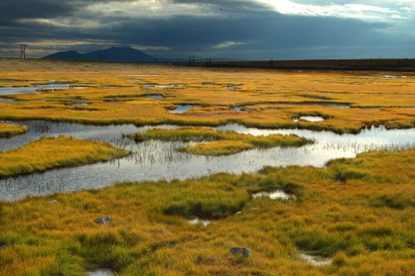 Чукотка Анадырь