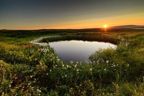 Большеземельская тундра Воркута