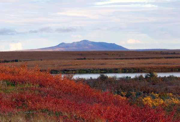 Чукотка Горная тундра