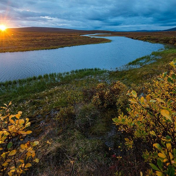 Чукотка 2020 яранга