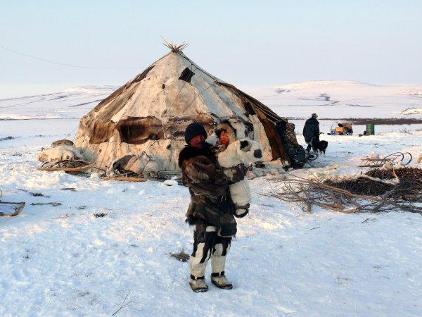 Чукотский автономный округ природа