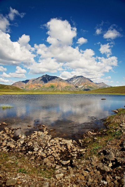 Воркута тундра