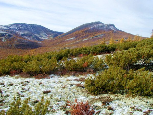 Чукотский автономный округ тундра