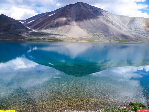 Лето на острове Врангеля