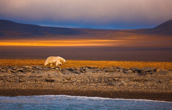 Китовая аллея на острове Итыгран