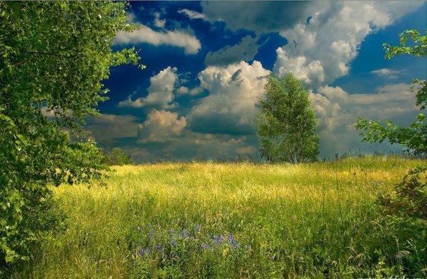 Британская художница Уолш Жозефина