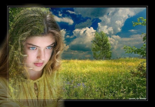 Ромашковое поле и Церковь