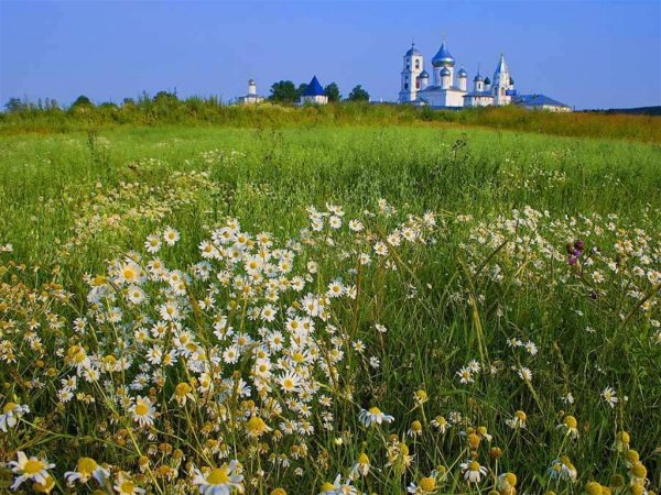 Сказочная экология