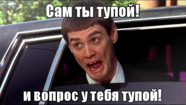 Картинка ты тупица