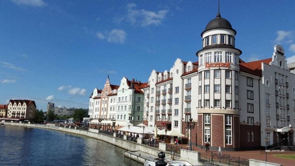 Красивые здания Калининграда