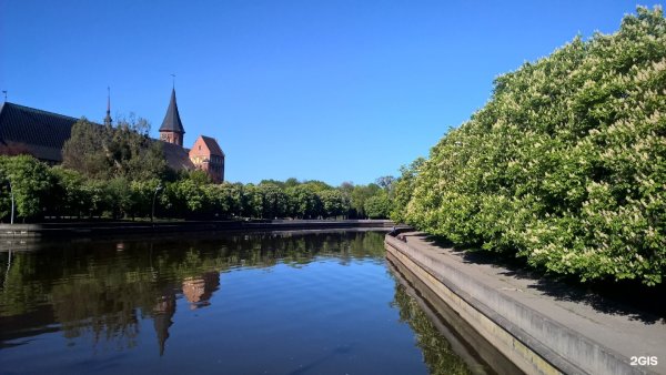 Калининград обзорная экскурсия