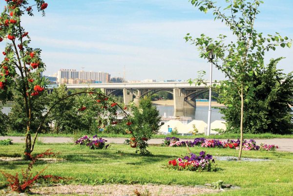 Новосибирск летом
