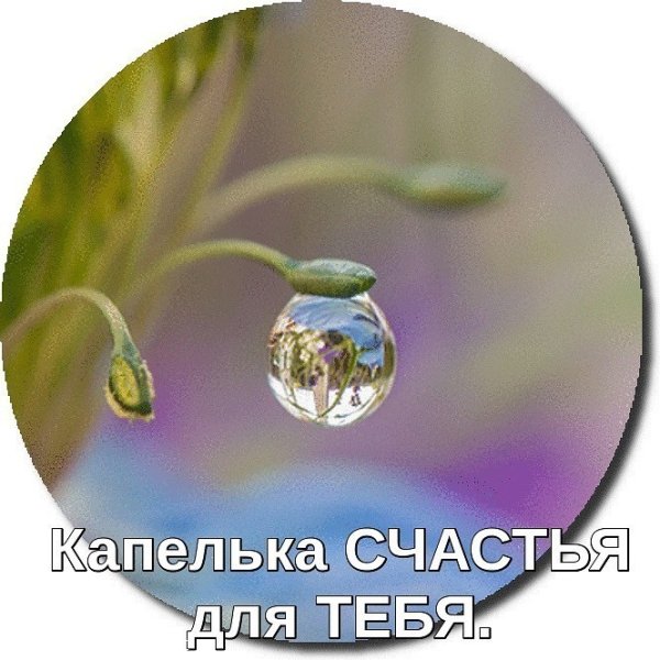 Перлы дождевые