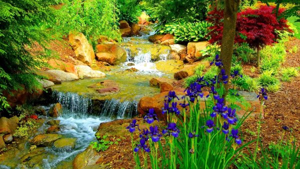 Цветочный водопад в саду