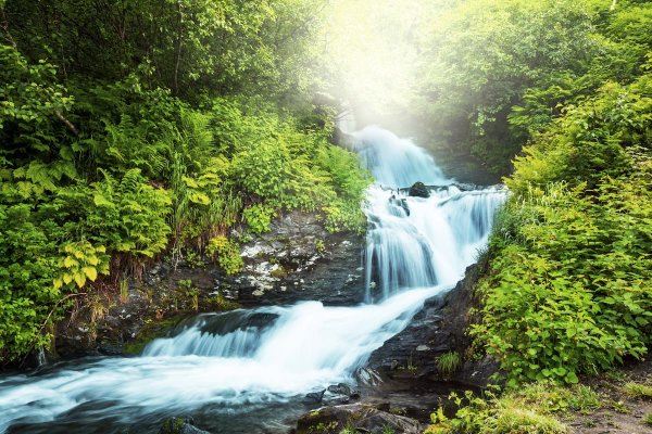 Водопад в лесу