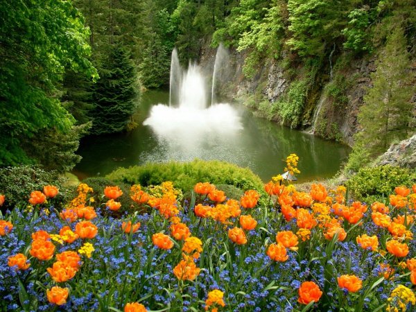 Цветущая природа