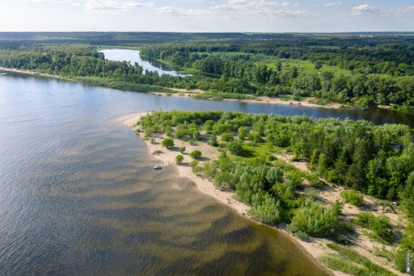 Берег Волги летом